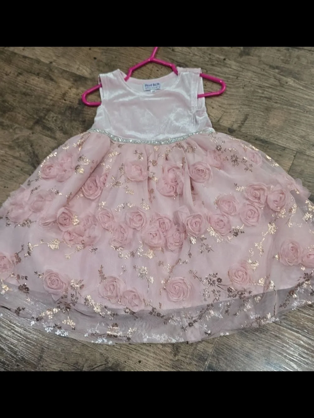 Blueberi Boulevard Pink Floral Velvet & Tulle Party Dress Sz 18 Months